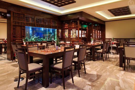 Tokio Restaurant Bar